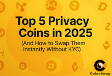 top-5-privacy-coins-in-2025-(and-how-to-swap-them-instantly-without-kyc)
